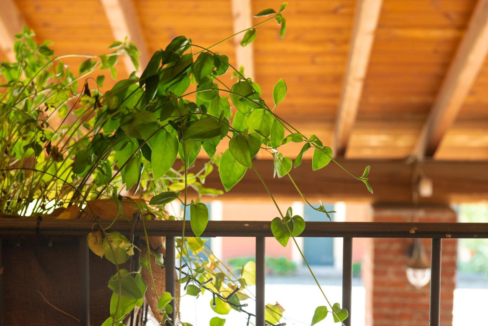 Country House Cascina Orto Pasturana Экстерьер фото